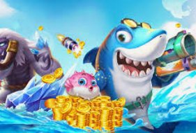 ayx大厅手机版登录入口2024最新版